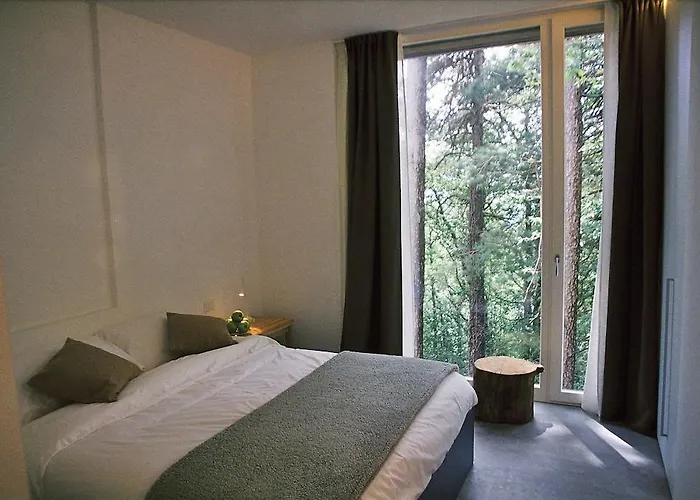 Varesello 20 ブルナーテ