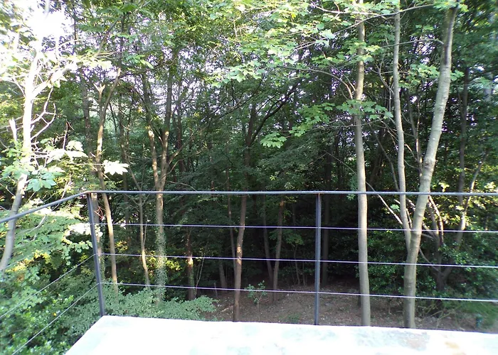 瓦雷塞洛20号公寓 *
